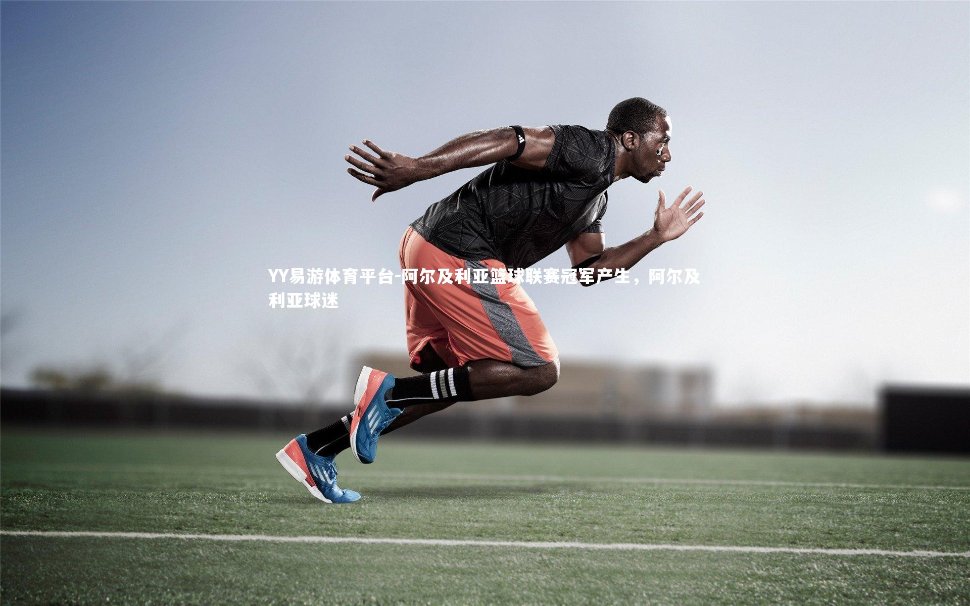 阿尔及利亚篮球联赛冠军产生，阿尔及利亚球迷